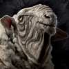 Florette Sheep